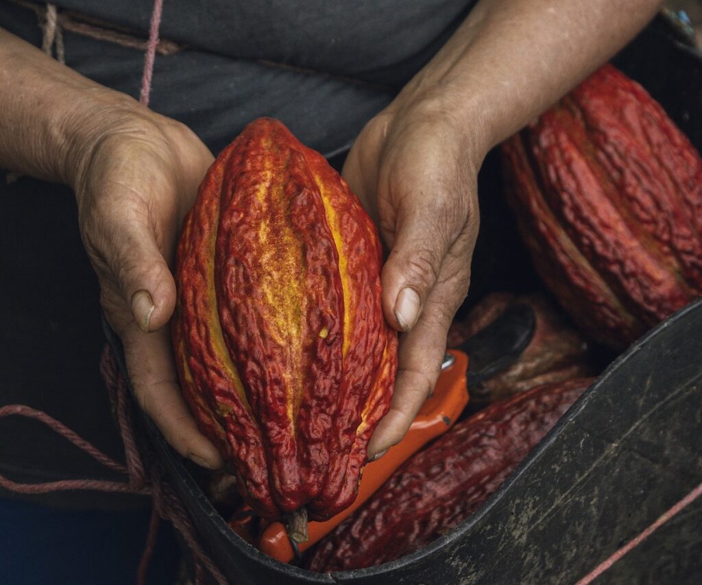Cacao Asómbrate