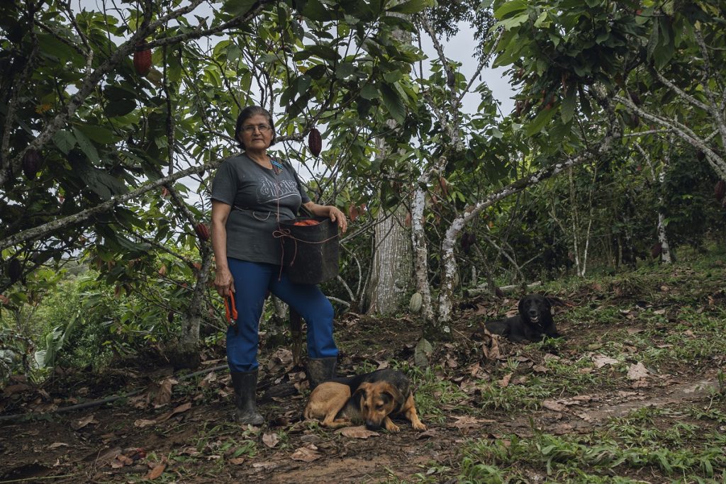 Florinda Mieles, cacaocultora de Rionegro, Santander, vinculada al programa Asómbrate