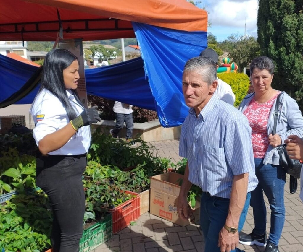 Feria del árbol Abejorral