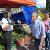 Feria del árbol Abejorral