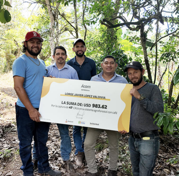 Productores de café reciben una compensación económica por sembrar y mantener árboles mientras aumentan su resiliencia al cambio climático