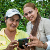 herramienta de consulta, asombrate chatbot