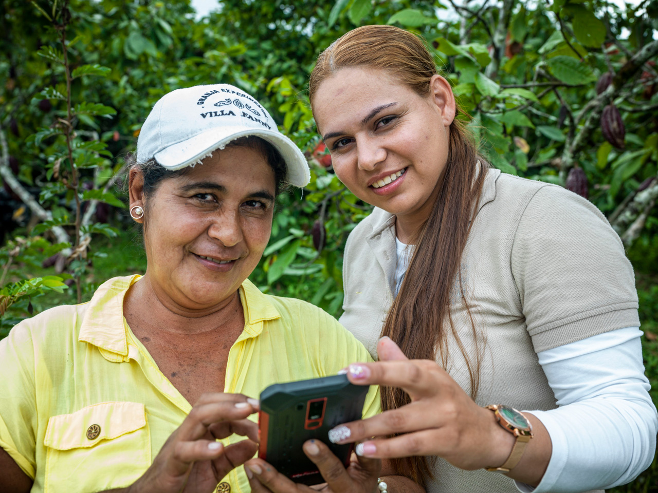 Solidaridad lanza nueva herramienta de consulta de estatus de productores Asómbrate