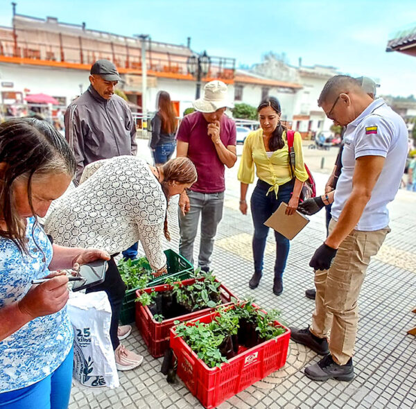 Colaboraciones por la sostenibilidad: alianzas que devuelven la sombra a las fincas caficultoras