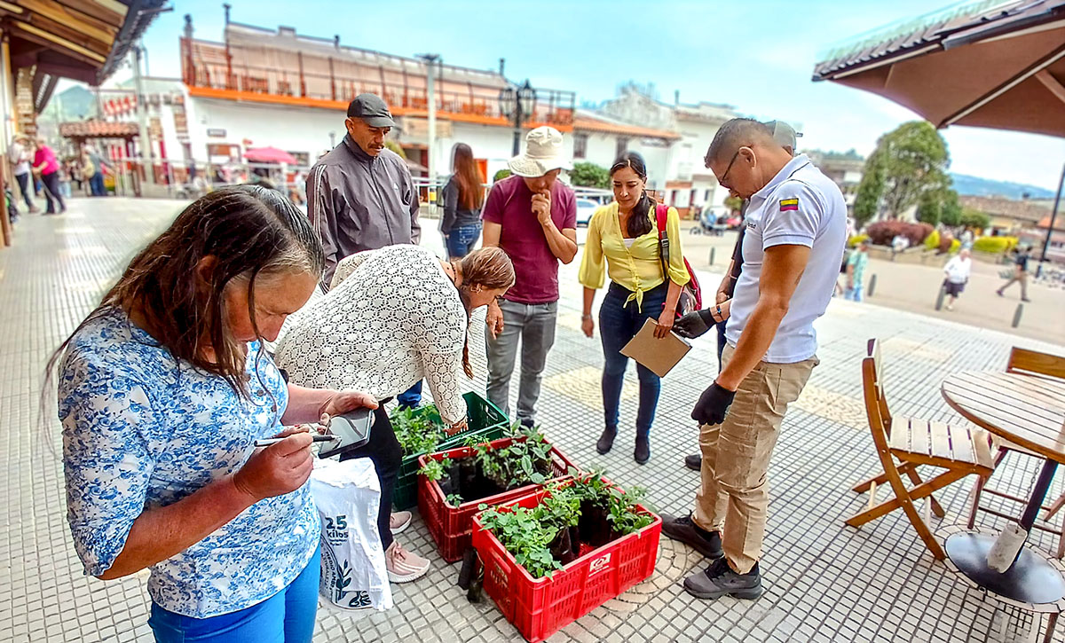 Colaboraciones por la sostenibilidad: alianzas que devuelven la sombra a las fincas caficultoras